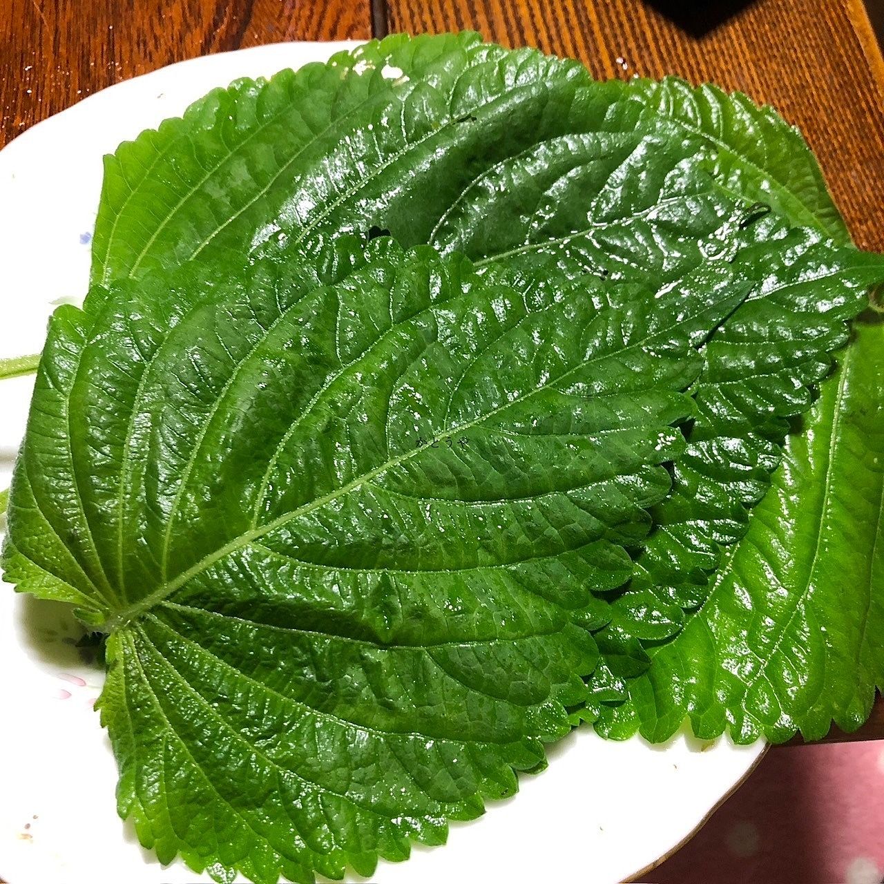 エゴマ エゴマ
